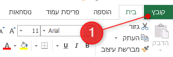 1 התקנת אקסל תוספים