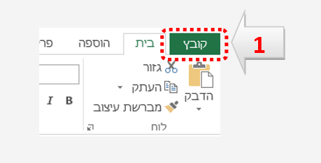 פתיחת הגדרות מאקרו אקסל 2013 1