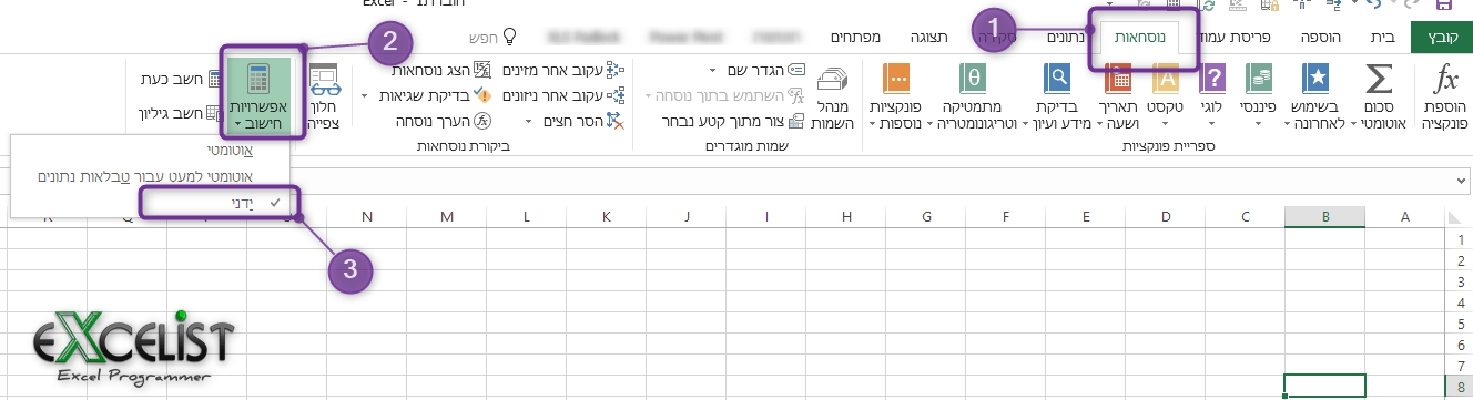 אקסל חישוב ידני