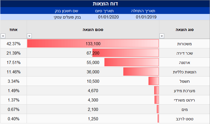 דוח תזרים מזומנים הוצאות1